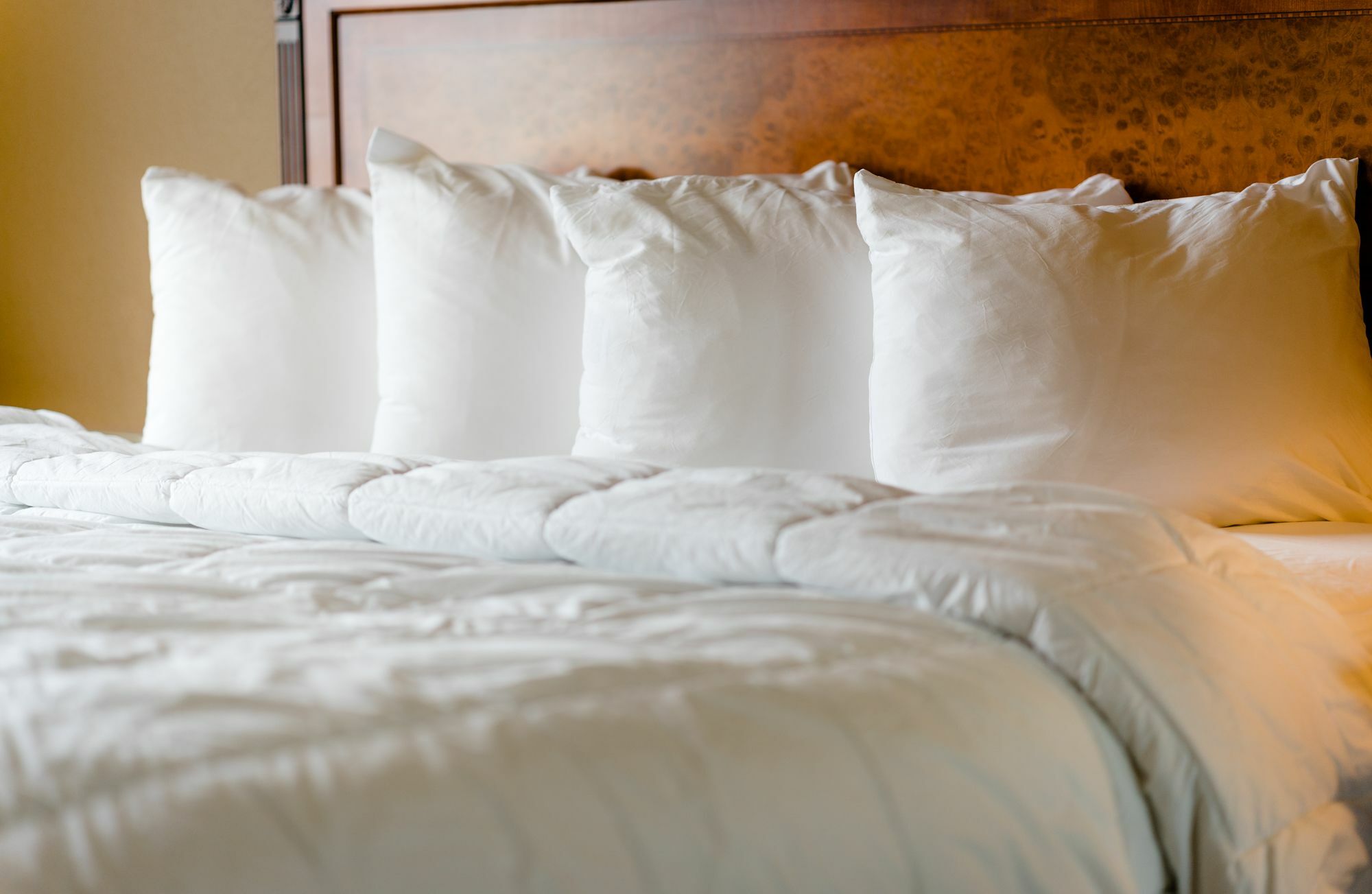The Wildwood Hotel Экстерьер фото